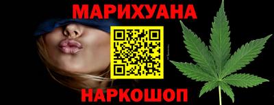 сатива Краснознаменск