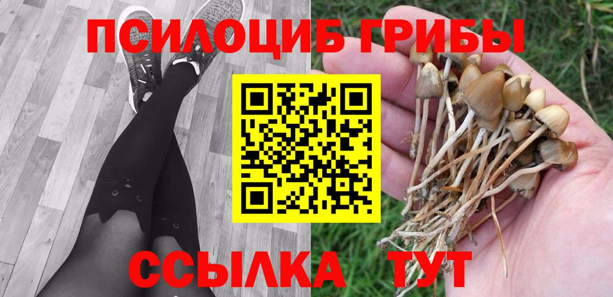Елабуга  Псилоцибиновые грибы Magic Shrooms  Вход с VPN 